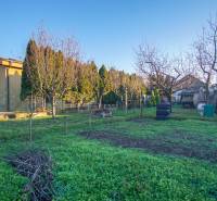The garden at the family house on Pod kopcom Street in Nové Zámky, surrounded by trees.