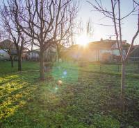 The garden of the family house on Pod kopcom Street in Nové Zámky with sunlight.