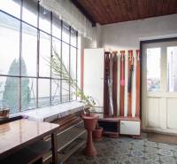 Interior in a family house with a flower pot, table, and umbrella stand.