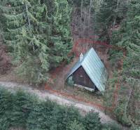 A cabin in the forest at Krpáčovo, Krpáčovo, surrounded by dense coniferous trees and a forest path.