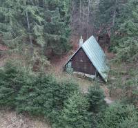 A cabin in Krpáčovo on Krpáčovo street surrounded by coniferous trees.