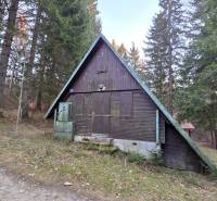 A cottage in Krpáčovo nestled in the forest, showing a wooden structure and surroundings with coniferous trees.