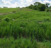 Plots - housing on Lomnická Street in Vranov nad Topľou, green grass and open space.