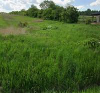 A residential plot on Lomnická Street in Vranov nad Topľou, covered with greenery.