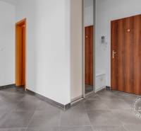 A corridor with dark tiles, doors with a wooden decor, connected to the living room.