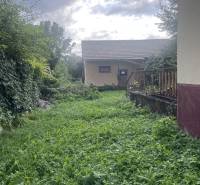 A garden next to a family house in Šaľa, surrounded by lush greenery and trees.