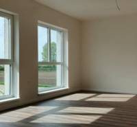 In the 3-room apartment, you will find a bright room with large windows and a floor with a wooden decor.