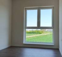 A bright room in a 3-room apartment with a wood-patterned floor and a large window.