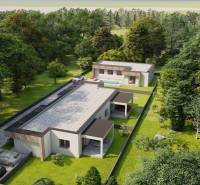 Family houses in Žihárec surrounded by green trees, with a swimming pool and a driveway.