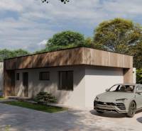 A family house in Žihárec, modern cars, a landscaped garden, a clear sky, and trees in the background.