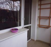 The balcony of a 2-room apartment with a view of the trees, a clothesline structure, and a bowl for bleaching.