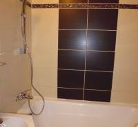 A bathroom with a shower and a bathtub, suitable for a 2-room apartment.