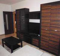 Living room with furniture and wood-patterned flooring in a 2-room apartment.