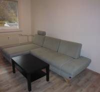 Living room in a two-room apartment with a gray sofa and a wooden-patterned floor.