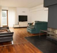 Living room with a fireplace, television, and wood-patterned flooring in a family house.