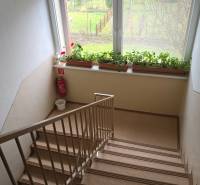 Staircase with flowers on the windowsill, metal railing, fire extinguisher, view into the garden.