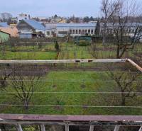 Garden in Piešťany on Sadová Street with fruit trees and a section of railing.