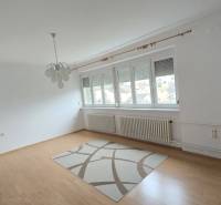 Living room in a three-room apartment with a wooden decor floor and a carpet.