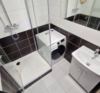 A bathroom with a washing machine, shower, and sink in a 3-room apartment.