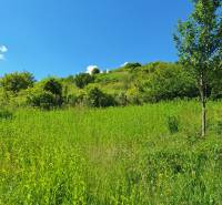 The holy house in Šíd is surrounded by lush green nature and a blue sky.