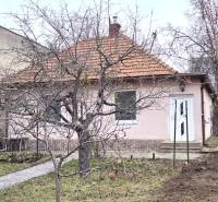 A family house on 29th August Street in Levice is surrounded by trees and a garden.