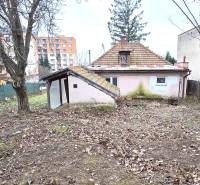 Garden and older family house on 29th August Street in Levice.