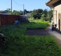 A courtyard in Reca suitable for living, the plots are bordered by a fence and green shrubs.