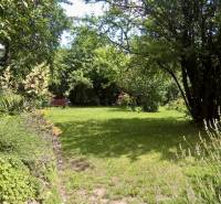 A garden with a bench, surrounded by lush vegetation and trees, creates a peaceful environment.