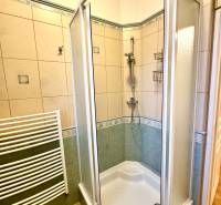 A bathroom with a shower and tiles in a 4-room apartment.