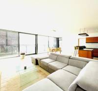 Living room in a 4-room apartment with a comfortable sofa and a kitchenette.
