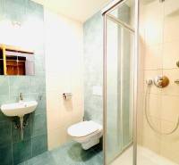 Bathroom with toilet, shower, and sink in a 4-room apartment.