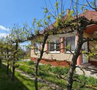 A family house in Križovany nad Dudváhom with a front garden, fresh greenery, blue sky.