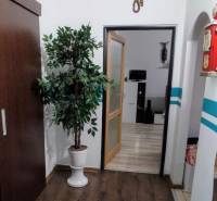 Interior of a 3-room apartment with a plant, wooden decor flooring, and a transition to another room.