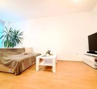 Living room in a two-room apartment with a wooden decor floor, a sofa, and a television.