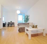 Living room in a two-room apartment with a wooden decor floor, sofa, and coffee table.