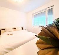 A bright bedroom with a large bed, a book, and a plant in a 2-room apartment.