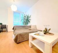 Living room in a two-room apartment with a wood-patterned floor, a sofa, and a table.