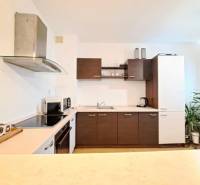 A kitchen in a 2-room apartment with wooden cabinets and appliances on the countertop.