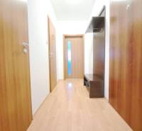 A hallway in a 2-room apartment with a wooden decor floor and a built-in wardrobe.