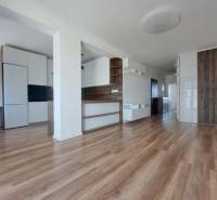 Interior of a 2-room apartment with a wooden decor floor and built-in cabinets.