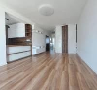 A bright room with a wood-decorated floor in a two-room apartment.