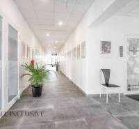 A bright corridor with a flower and paintings, on Vajanského Street, suitable for commercial spaces.