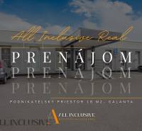 Offices for rent on Clementis Sady in Galanta with parking.