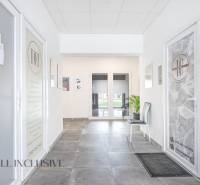 A bright interior with doors to commercial spaces on Vajanského Street with the presence of plants.