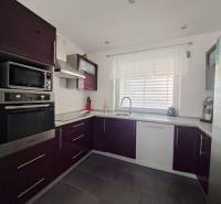 A kitchen unit in a family house with purple cabinets and built-in appliances.