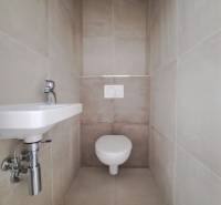 Bathroom in a family house with a toilet and a sink, tiles in neutral shades.