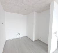 A white space in a 2-room apartment with walls and flooring featuring a wooden decor.