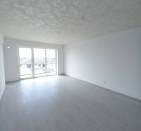 A bright room with a wood-patterned floor and large windows in a two-room apartment.