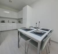 Dining area in a 2-room apartment with a kitchen unit and flooring with a wood decor.