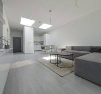 Living room with a sofa, wooden decor flooring, and a dining table in a 2-room apartment.